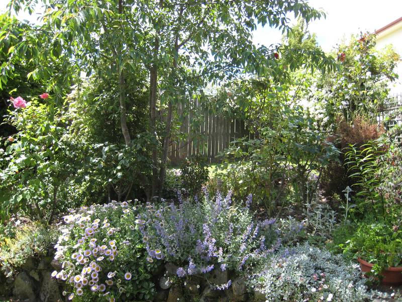 BOTANICAL GARDENS Picture 3