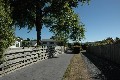 BIRD AREA - LAKE TAUPO. Picture