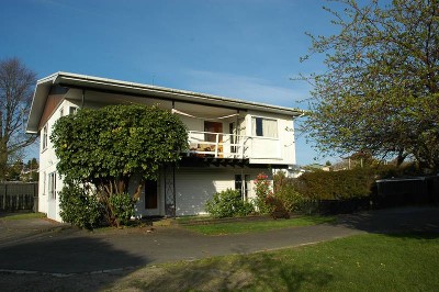 BIRD AREA - LAKE TAUPO. Picture