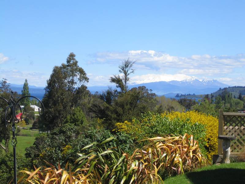 RANGATIRA PARK. Picture 2