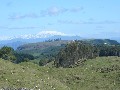 KINLOCH - LAKE TAUPO Picture