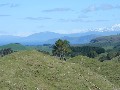 KINLOCH - LAKE TAUPO Picture