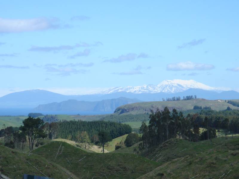 KINLOCH - LAKE TAUPO Picture 1