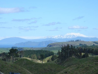 KINLOCH - LAKE TAUPO Picture