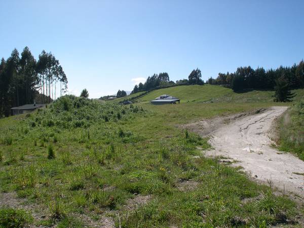 Mapara Road Picture 1