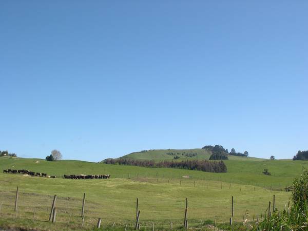 Mapara Road Picture 3