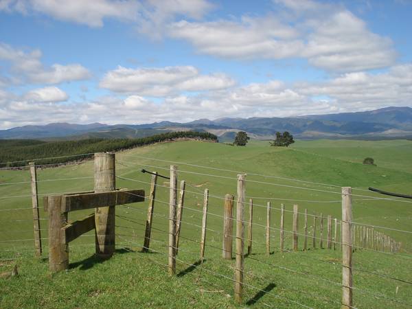 Southern Lake Taupo Picture 2