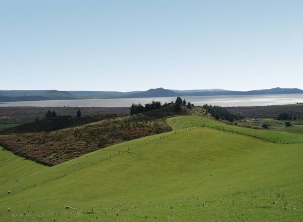 Southern Lake Taupo Picture 1