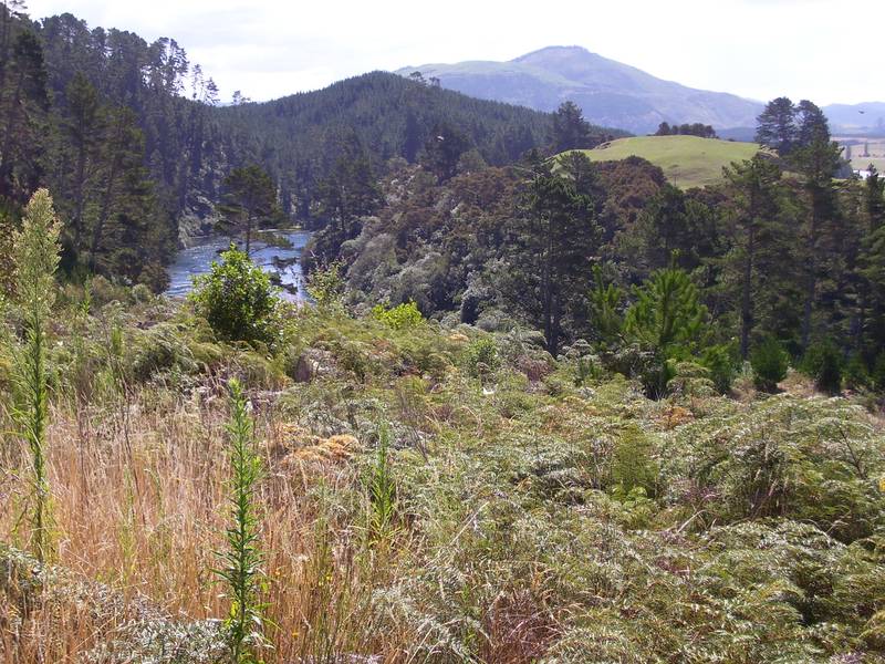 LAKE OHAKURI Picture 1
