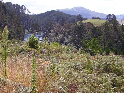 LAKE OHAKURI Picture LAKE OHAKURI Picture
