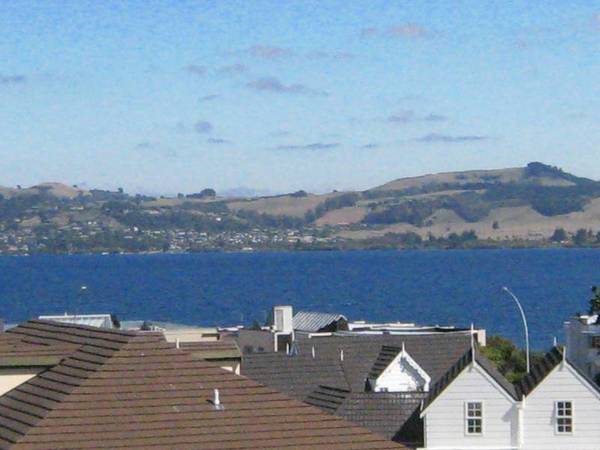 BOTANICAL GARDENS Picture 3