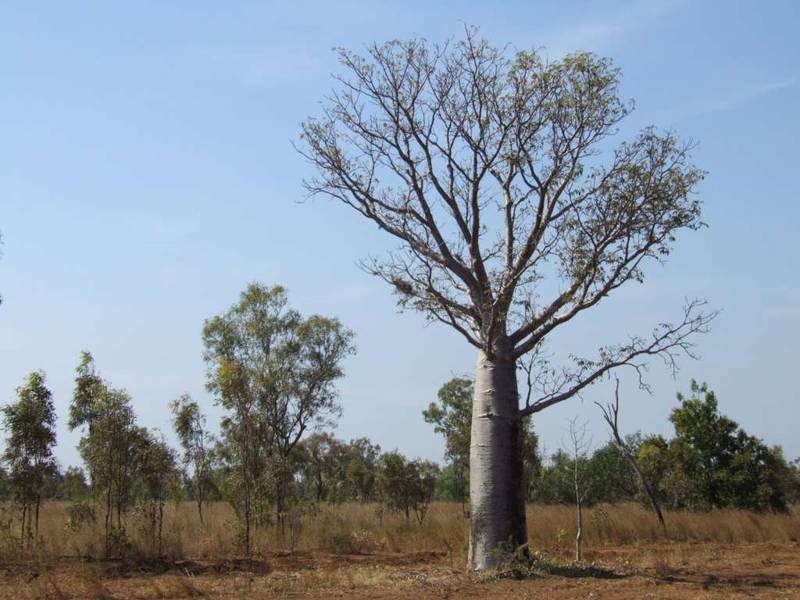VALENTINE FALLS ESTATE ORD RIVER STAGE 2 Picture 2