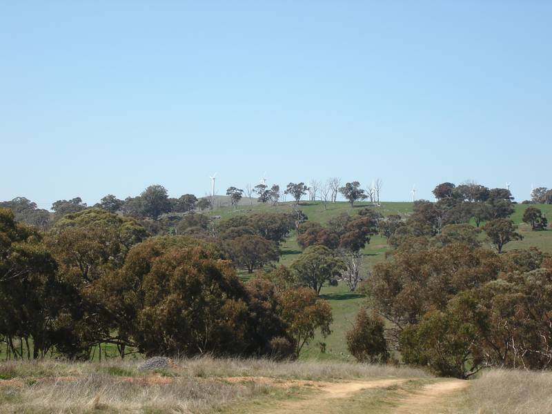 30 Acres in Historic Carcoar Picture 3