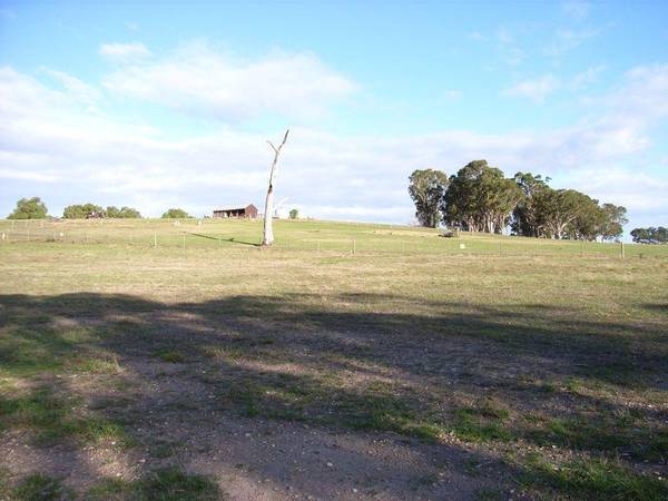 "SUNNYSIDE" OF THE ROAD Picture 1