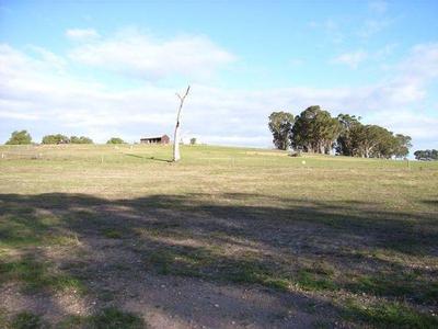 "SUNNYSIDE" OF THE ROAD Picture