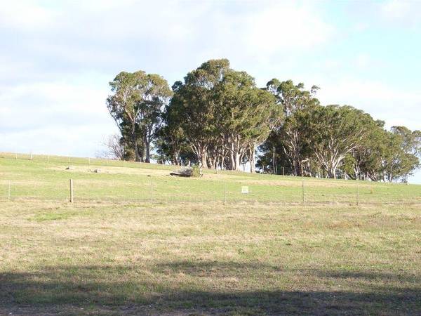 "SUNNYSIDE" OF THE ROAD Picture 3