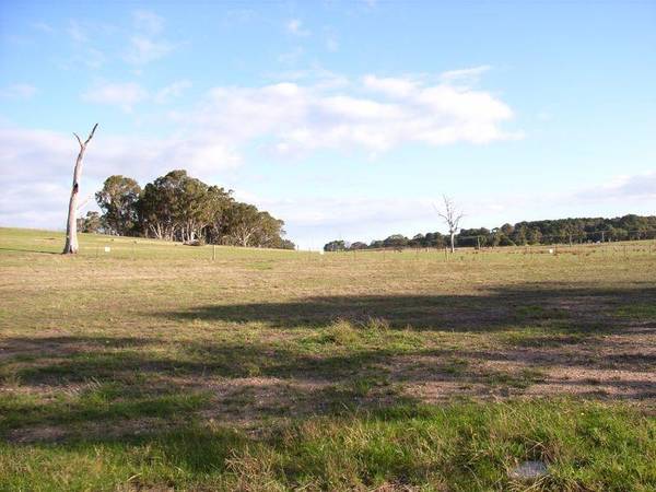 "SUNNYSIDE" OF THE ROAD Picture 2