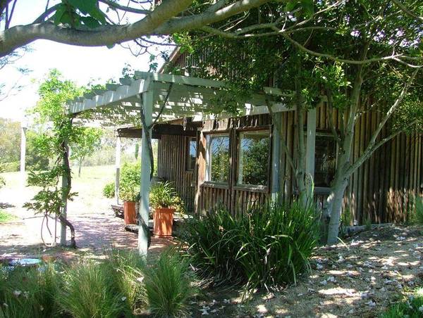 A FINE PEDIGREE Picture 3