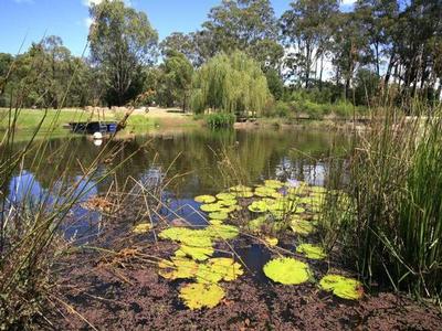 A FINE PEDIGREE Picture A FINE PEDIGREE Picture