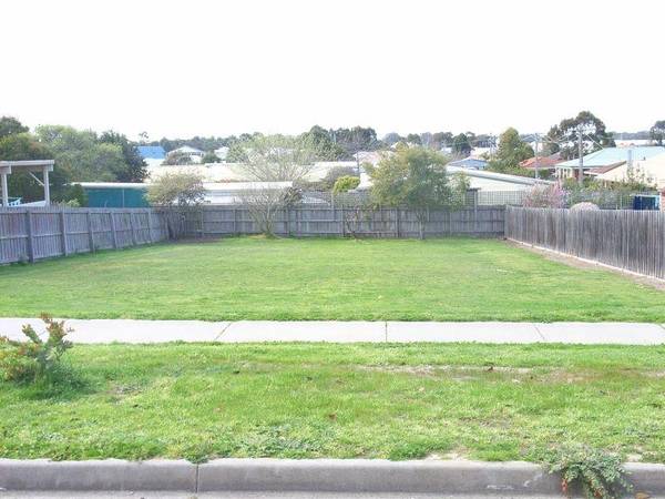 A VERY RARE FIND Picture 1