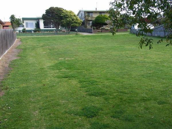 A VERY RARE FIND Picture 2