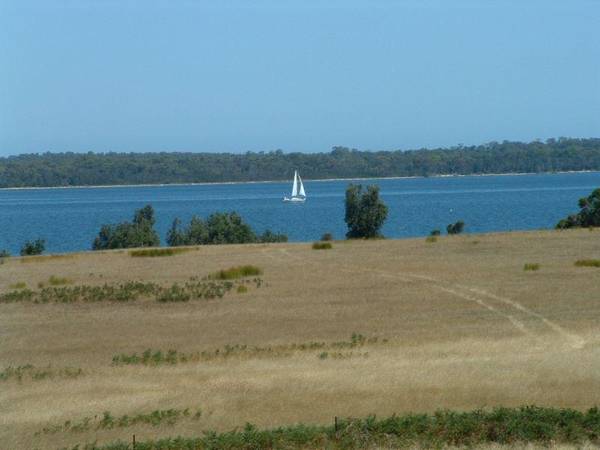 BARKHILL LAND - PAYNESVILLE OUTSKIRTS Picture 1