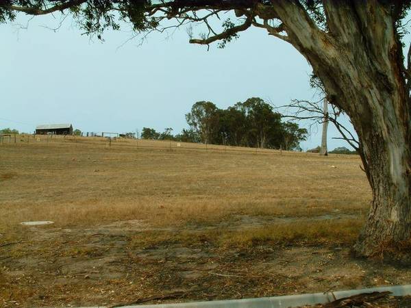 ELEVATED BLOCK IN EAGLE POINT Picture 2