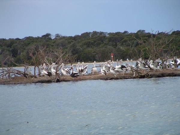 KYWONG ON OCEAN GRANGE. Picture 2