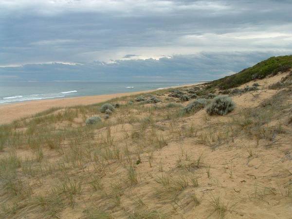 KYWONG ON OCEAN GRANGE. Picture 3