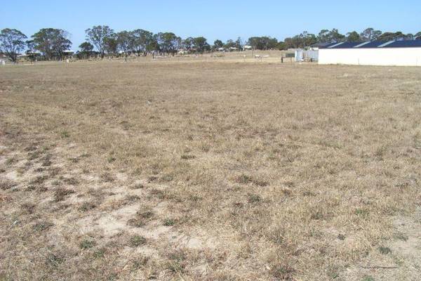 LARGE ALLOTMENT IN POPULAR NEW AREA Picture 1