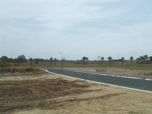 LARGE BLOCK OF LAND Picture 2