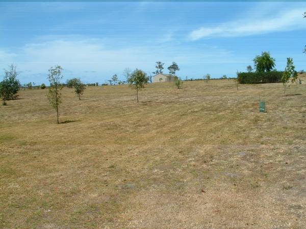 ONE ACRE WITH NORTHERLY ASPECT Picture 2