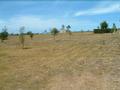 ONE ACRE WITH NORTHERLY ASPECT Picture