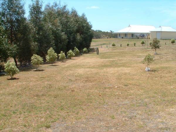 ONE ACRE WITH NORTHERLY ASPECT Picture 3