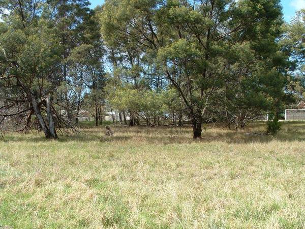 POTENTIAL VIEW BLOCKS Picture 3