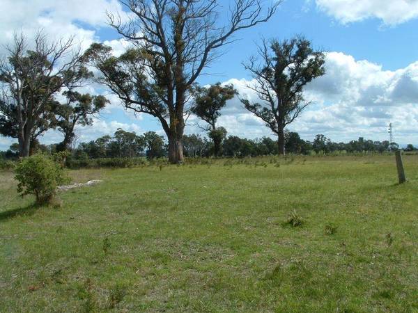 POTENTIAL VIEW BLOCKS Picture 1