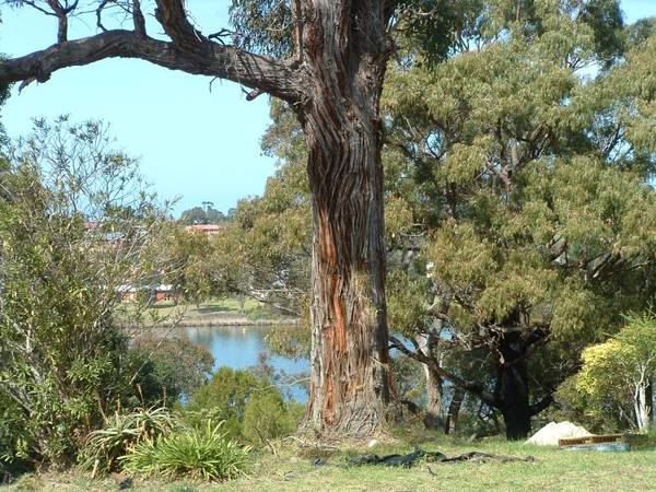 POTENTIAL VIEW BLOCKS Picture 2