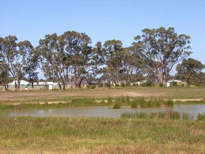 PRIME POSITIONS Picture