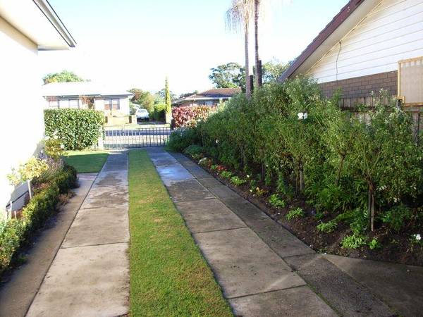 SOMETHING VERY SPECIAL Picture 2