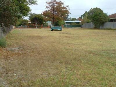 THIS LAND IS YOUR LAND Picture