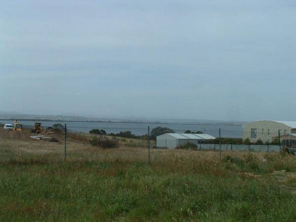 TOONALOOK WATERS Picture 1