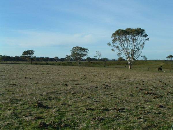 WATTLE POINT HEIGHTS Picture 2