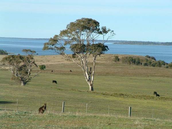 WATTLE POINT HEIGHTS Picture 1