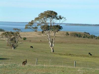 WATTLE POINT HEIGHTS Picture