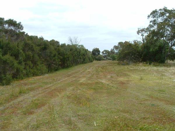 WHAT A FIND! Picture 2