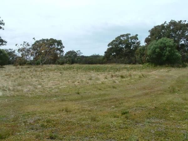 WHAT A FIND! Picture 1