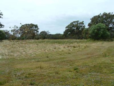 WHAT A FIND! Picture