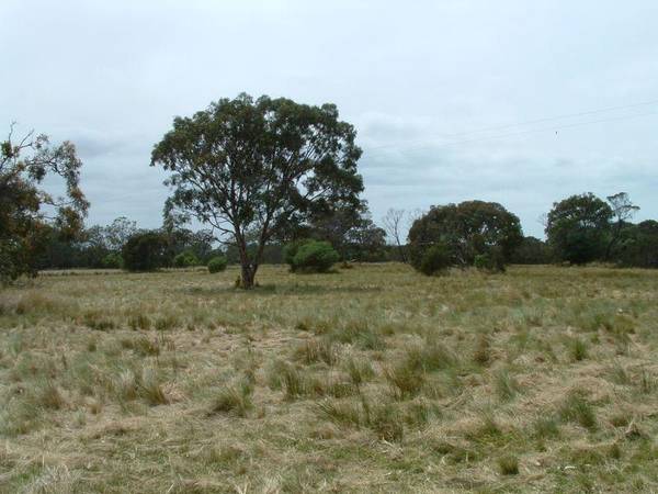 WHAT A FIND! Picture 3