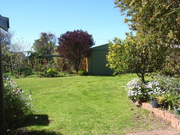 WHAT'S BEHIND THE FENCE? Picture 2