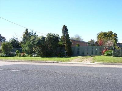 WHAT'S BEHIND THE FENCE? Picture